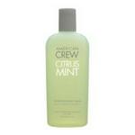 American Crew Citrus Mint Body Wash 250ml