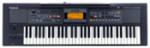 Roland E-09 Interactive Arranger Electronic Keyboard
