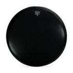 Remo 22