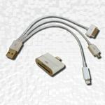 Apple iPhone 5 Cable & Pin Converter