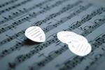Touch Of Ginger Wallet Guitar Plectrums