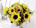 Sunflower Basket