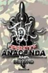 Operation Anaconda and Beyond