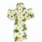 Flowers.co.za Purity