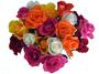 Mix a Rose Treat 24 Roses