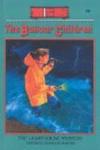 The Lighthouse Mystery (Boxcar Children, 8)