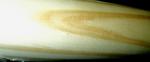 Metro Home Rods 2m Round Raw