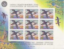 Beautiful Russia 1994 Sheetlet With 9 Stamps - Conservation Of Waterfowl - Mnh