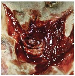 Fancy Me 3D Realistic Special Fx Zombie Throat Wound Rot Gore Wounds Scars Bites Halloween Make Up Glue & Latex Free Prosthetic Transfer Zombie Throat Wound