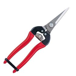 Ars HP-300LDX Stainless Steel Needle Nose Fruit Pruners