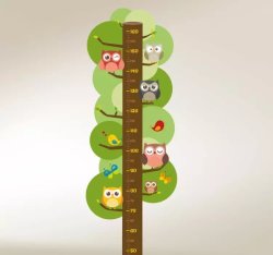 Children& 039 S Meter Owls Height Chart Decal