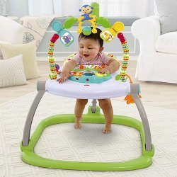 Fisher Price Rainforest Friends Spacesaver Jumperoo