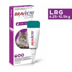 Bravecto Tick & Flea Spot On For Cats - Large
