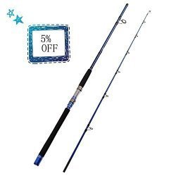 Fiblink 2-PIECE Saltwater Spinning Fishing Rod Offshore Graphite Portable  Fishing Rod 7-FEET 7' Heavy Prices, Shop Deals Online