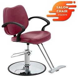 Salon Chair Barber Chair Styling Heavy Duty Hydraulic Pump Barber Chairs Beauty Salon Chair Shampoo Barbering Chair For Hair Stylist Women Man Salon Equipment