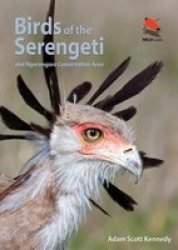 Birds Of The Serengeti