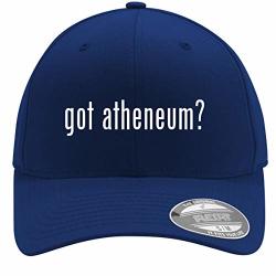 Got Atheneum? - Adult Men's Flexfit Baseball Hat Cap Blue Small medium