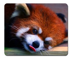 Red Panda Grimace Mousepad Gaming Mouse Pad 10.2X8.2 Inches