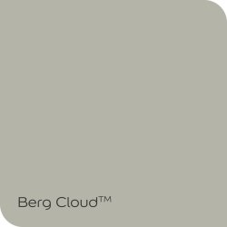 Dulux Weatherguard Exterior Fine Textured Paint Berg Cloud 20L