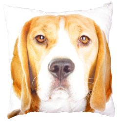 Beagle Print Cushion