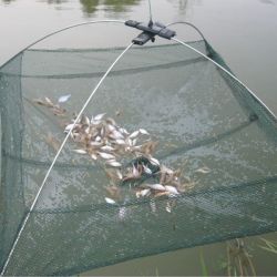 Fishing Foldable Mesh Baits Trap Umbrella Cast Dip Net Crab Shrimp
