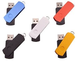 FEBNISCTE 5pcs 32GB USB 2.0 Swivel Design Flash Drive Memory Stick 5 Multi-Coloured: Black Blue Gold Silver Red