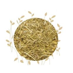 Dried Couchgrass Herb Agropyron Repens - 100G