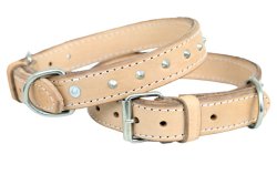 Pit-bull Collars Leather Size 28 34MM X 72CM