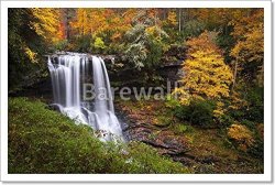 Dry Falls Autumn Waterfalls Highlands Nc Forest Fall Foliage In Cullasaja Gorge Blue Ridge Mountains Paper Print Wall Art 12IN. X 18IN.