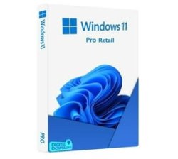 Microsoft Windows 11 Pro - Digital Email