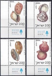 Israel 1977 Red Sea Shells With Tabs Complete Unmounted Mint Set Sg 690-3