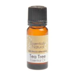 Tea Tree Essential Oil Melaleuca Alternifolia - 1L