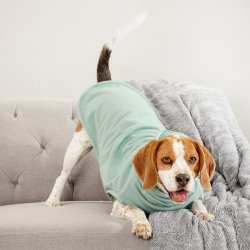 Make Mine A Mojito Dog Jersey - XS Extra Length