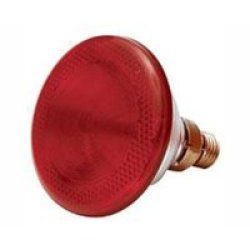 1 100 Poultry Infra Red Lamp 175W