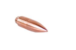 Balistix Rbt Target Bullets .30" 155GR 50