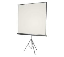 Parrot Projector Tripod Screen 2440X1850MM With View Of 2340X1750MM Ratio: 4:3