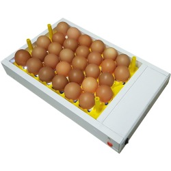 Surehatch Egg Candler For 30 Chicken Eggs Sureview