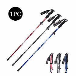 trekking pole price