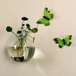 Felixstore Glass Vase Wall Hanging Hydroponic Terrarium Fish Tanks Potted Plant Flower Pot