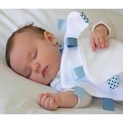 Baby Sense Taglets Blanket - Barney Was R50