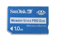 Sandisk 1 Gb Memory Stick Pro Duo SDMSPD-1024-A11 - Bulk Package