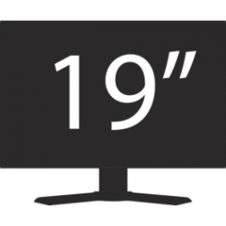 19" LCD Screen