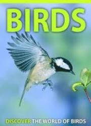 Birds Discover The World Of Birds By Jinny Johnson Author Barbara Taylor Author 2010 New