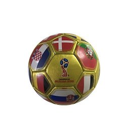 Icon Sports Fifa 2018 World Cup Russia Official Souvenir Size 2 MINI Soccer Ball