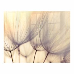 Dandelion Floret Hob Splashback 898 X 700 X 6MM