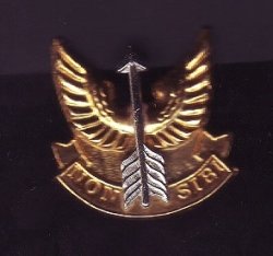 Sadf - Wemmerpan Commando Bi-metal Cap Badge berei Badge - Non Sibi Militry As Issued Screw & Nut