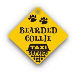 Bearded Collie Taxi Service
