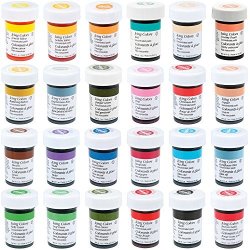 Wilton Master 24 Icing Color 1-ounce Set