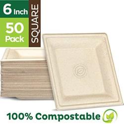 100% Compostable Square Paper Plates 6x6 inch - 50-Pack Elegant