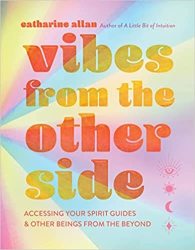 Vibes From The Other Side - Catharine Allan Hardcover